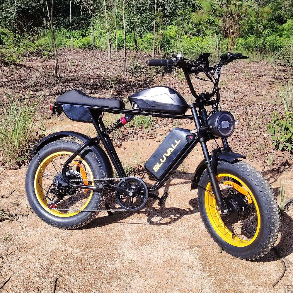 Bluvall K10 Ebike Dual Motor Dual Battery 52V 2000w 35MPH 150 Miles