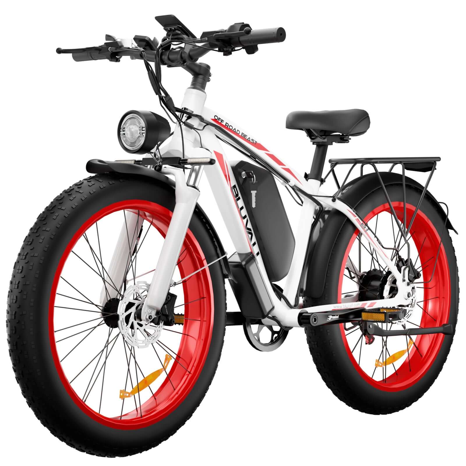  1000w Electric Bike