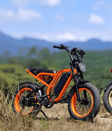 Bluvall R720 Moped Style Ebike